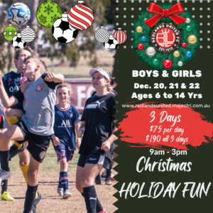 3 Day Christmas Holiday Clinic – NOW OPEN!